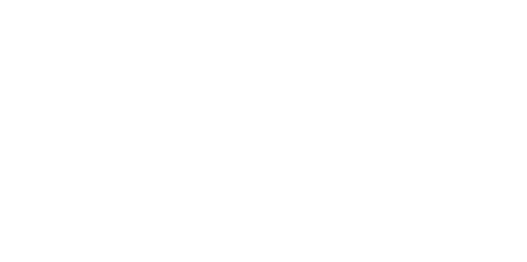 Ansa